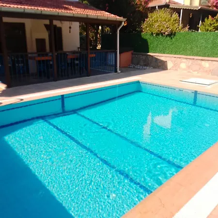 Calis 2